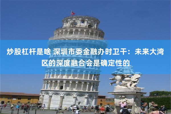 炒股杠杆是啥 深圳市委金融办时卫干：未来大湾区的深度融合会是确定性的
