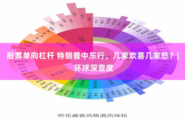 股票单向杠杆 特朗普中东行，几家欢喜几家愁？| 环球深壹度