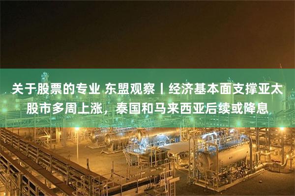 关于股票的专业 东盟观察丨经济基本面支撑亚太股市多周上涨，泰国和马来西亚后续或降息