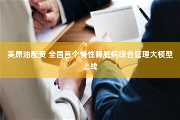 美原油配资 全国首个慢性肾脏病综合管理大模型上线