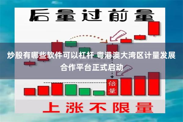 炒股有哪些软件可以杠杆 粤港澳大湾区计量发展合作平台正式启动