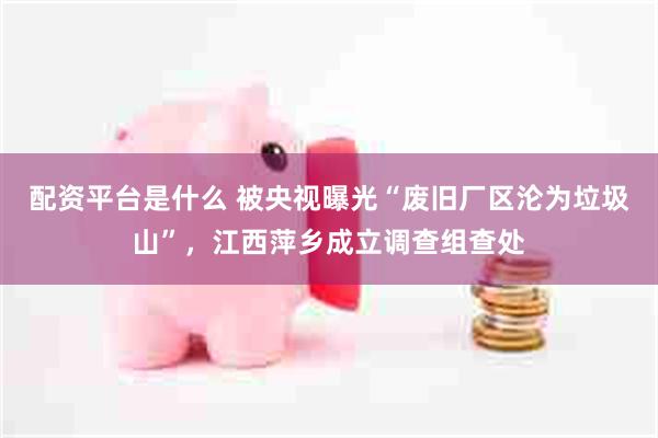 配资平台是什么 被央视曝光“废旧厂区沦为垃圾山”，江西萍乡成立调查组查处