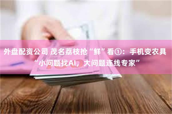 外盘配资公司 茂名荔枝抢“鲜”看①：手机变农具 “小问题找AI，大问题连线专家”