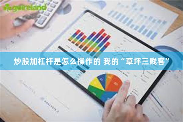 炒股加杠杆是怎么操作的 我的“草坪三贱客”