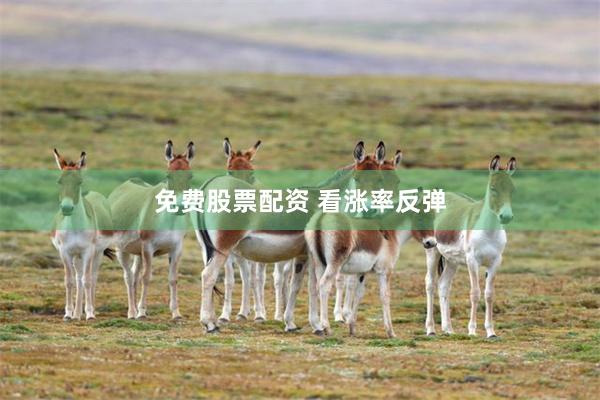 免费股票配资 看涨率反弹