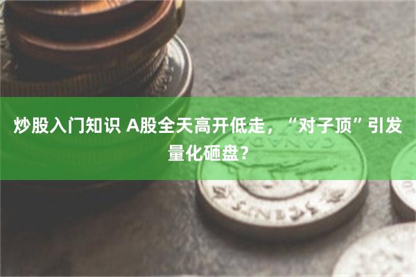 炒股入门知识 A股全天高开低走，“对子顶”引发量化砸盘？