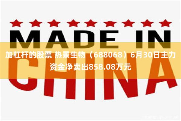 加杠杆的股票 热景生物（688068）6月30日主力资金净卖出858.08万元