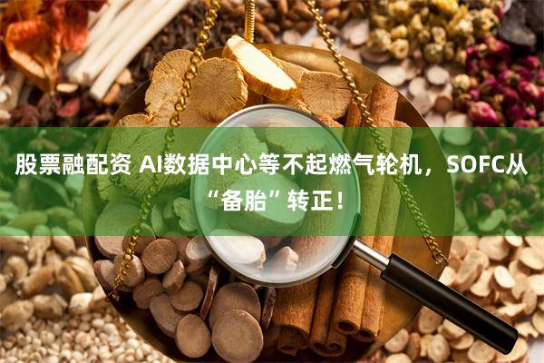 股票融配资 AI数据中心等不起燃气轮机，SOFC从“备胎”转正！