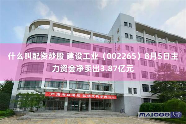 什么叫配资炒股 建设工业（002265）8月5日主力资金净卖出3.87亿元