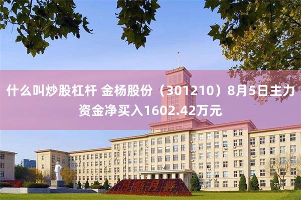 什么叫炒股杠杆 金杨股份（301210）8月5日主力资金净买入1602.42万元