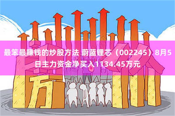 最笨最赚钱的炒股方法 蔚蓝锂芯（002245）8月5日主力资金净买入1134.45万元