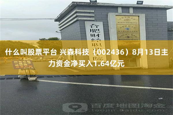 什么叫股票平台 兴森科技（002436）8月13日主力资金净买入1.64亿元