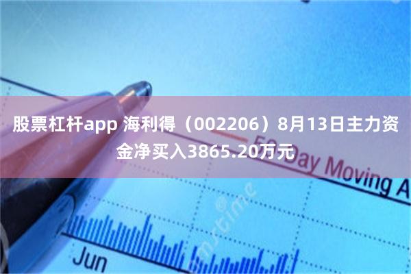 股票杠杆app 海利得(002206)8月13日主力资金净买入3865.20万元