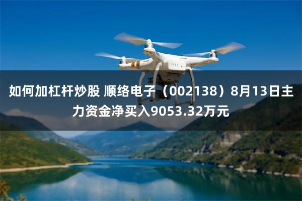 如何加杠杆炒股 顺络电子(002138)8月13日主力资金净买入9053.32万元