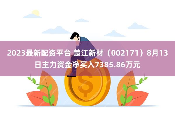 2023最新配资平台 楚江新材(002171)8月13日主力资金净买入7385.86万元