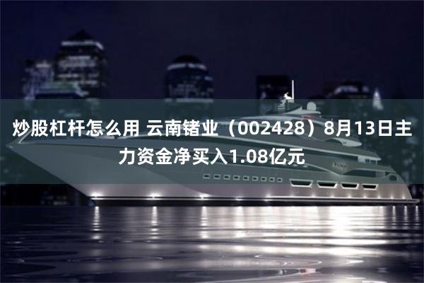 炒股杠杆怎么用 云南锗业（002428）8月13日主力资金净买入1.08亿元