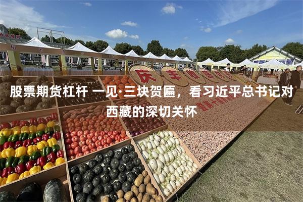 股票期货杠杆 一见·三块贺匾，看习近平总书记对西藏的深切关怀