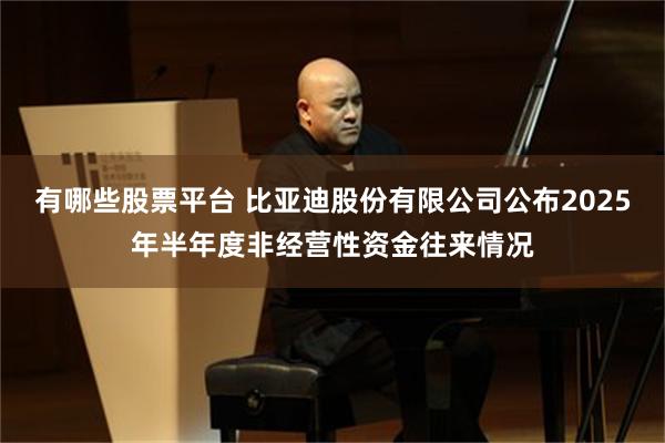 有哪些股票平台 比亚迪股份有限公司公布2025年半年度非经营性资金往来情况