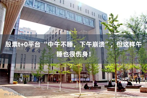股票t+0平台 “中午不睡，下午崩溃”，但这样午睡也很伤身！