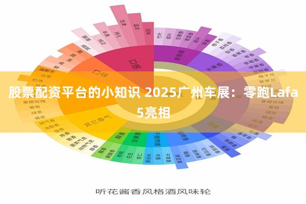 股票配资平台的小知识 2025广州车展：零跑Lafa5亮相