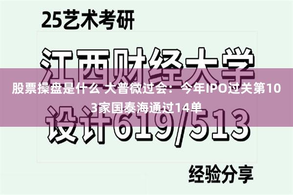 股票操盘是什么 大普微过会：今年IPO过关第103家国泰海通过14单