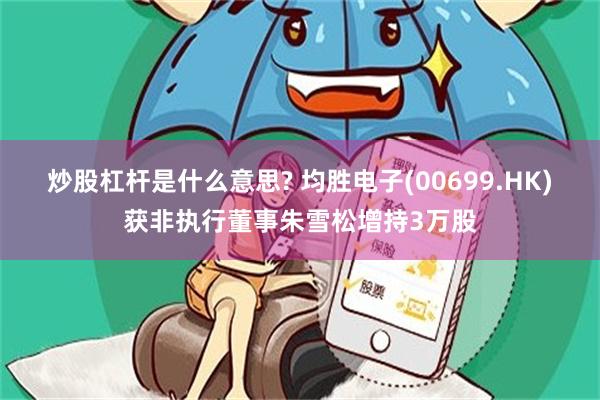 炒股杠杆是什么意思? 均胜电子(00699.HK)获非执行董事朱雪松增持3万股
