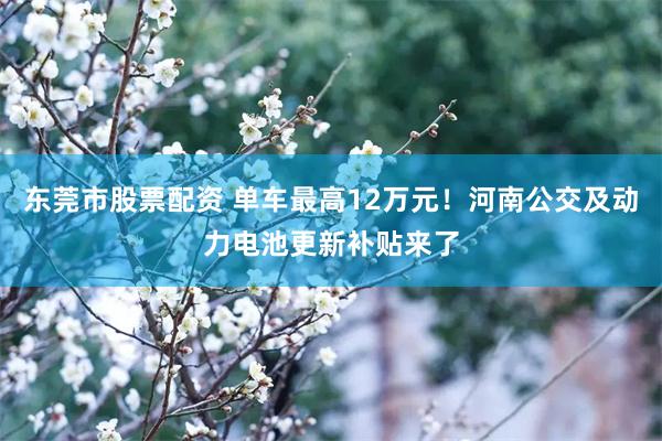 东莞市股票配资 单车最高12万元！河南公交及动力电池更新补贴来了