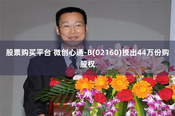 股票购买平台 微创心通-B(02160)授出44万份购股权