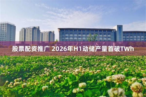 股票配资推广 2026年H1动储产量首破TWh