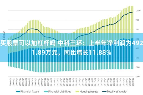 买股票可以加杠杆吗 中科三环：上半年净利润为4921.89万元，同比增长11.88%