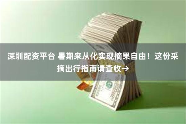 深圳配资平台 暑期来从化实现摘果自由！这份采摘出行指南请查收→