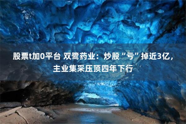 股票t加0平台 双鹭药业：炒股“亏”掉近3亿，主业集采压顶四年下行