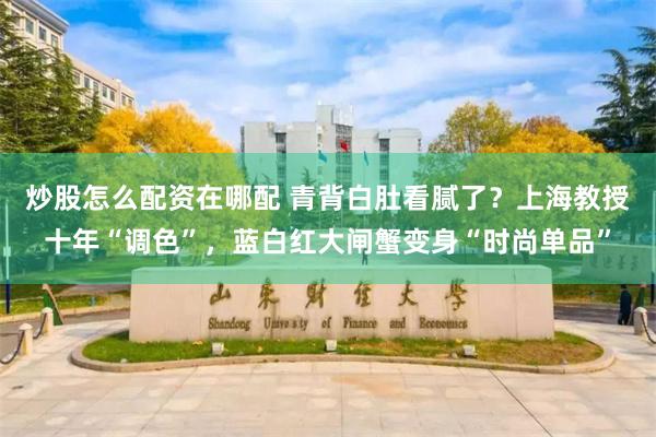 炒股怎么配资在哪配 青背白肚看腻了？上海教授十年“调色”，蓝白红大闸蟹变身“时尚单品”