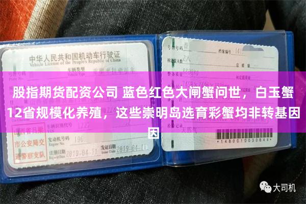 股指期货配资公司 蓝色红色大闸蟹问世，白玉蟹12省规模化养殖，这些崇明岛选育彩蟹均非转基因