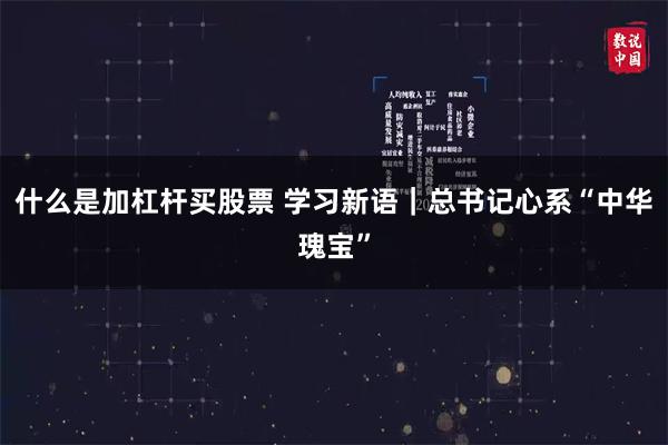 什么是加杠杆买股票 学习新语｜总书记心系“中华瑰宝”