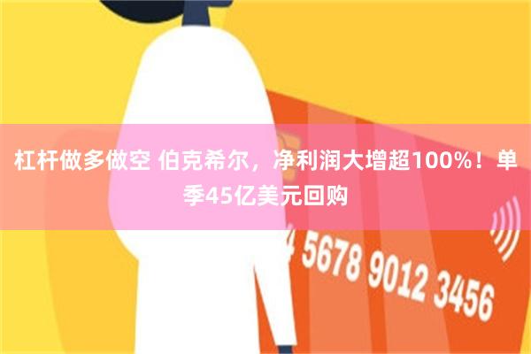 杠杆做多做空 伯克希尔，净利润大增超100%！单季45亿美元回购