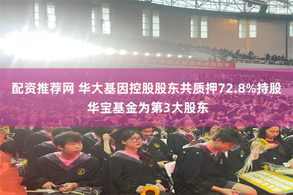 配资推荐网 华大基因控股股东共质押72.8%持股 华宝基金为第3大股东