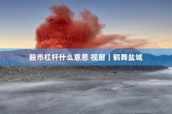 股市杠杆什么意思 视窗｜鹤舞盐城