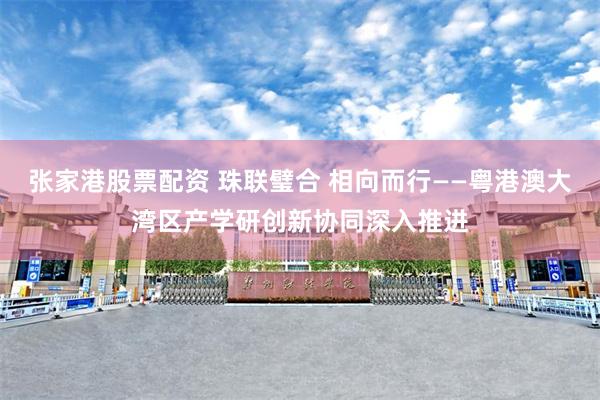 张家港股票配资 珠联璧合 相向而行——粤港澳大湾区产学研创新协同深入推进
