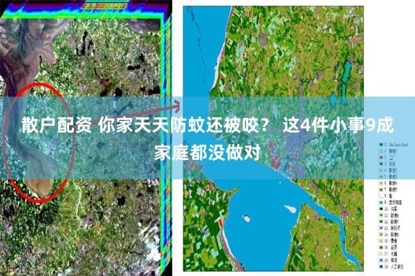 散户配资 你家天天防蚊还被咬？ 这4件小事9成家庭都没做对