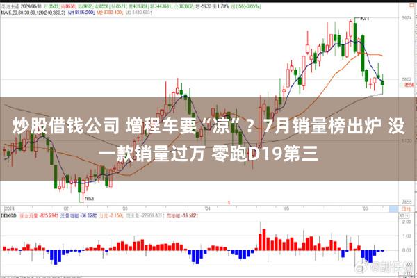 炒股借钱公司 增程车要“凉”？7月销量榜出炉 没一款销量过万 零跑D19第三