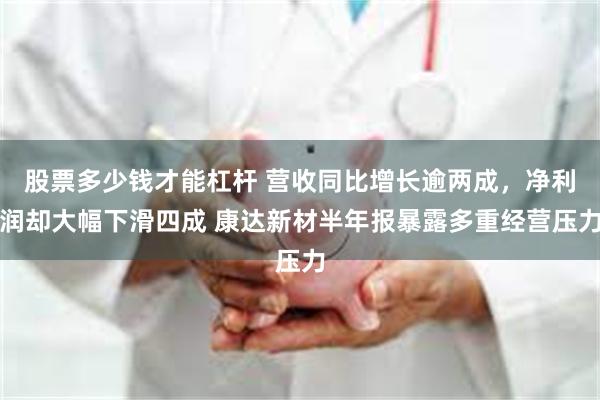 股票多少钱才能杠杆 营收同比增长逾两成，净利润却大幅下滑四成 康达新材半年报暴露多重经营压力