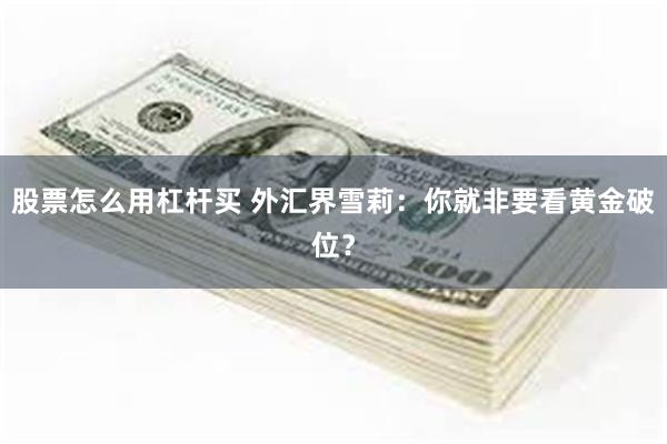 股票怎么用杠杆买 外汇界雪莉：你就非要看黄金破位？