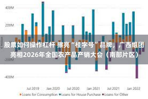 股票如何操作杠杆 擦亮“桂字号”品牌，广西组团亮相2026年全国农产品产销大会（南部片区）