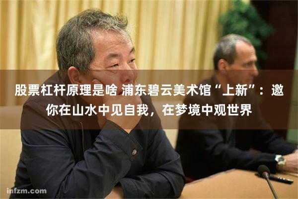 股票杠杆原理是啥 浦东碧云美术馆“上新”：邀你在山水中见自我，在梦境中观世界