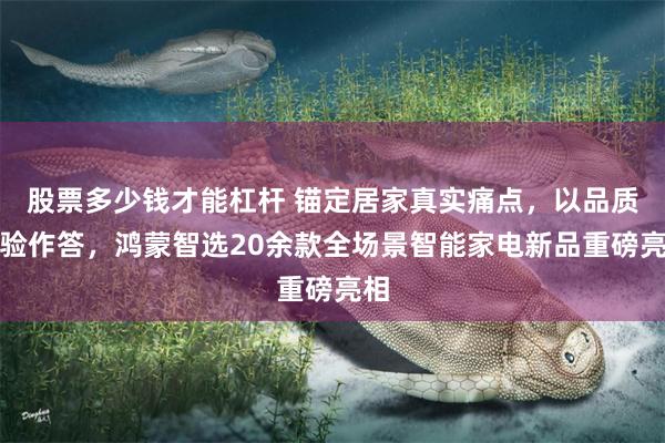 股票多少钱才能杠杆 锚定居家真实痛点,以品质体验作答,鸿蒙智选20余款全场景智能家电新品重磅亮相