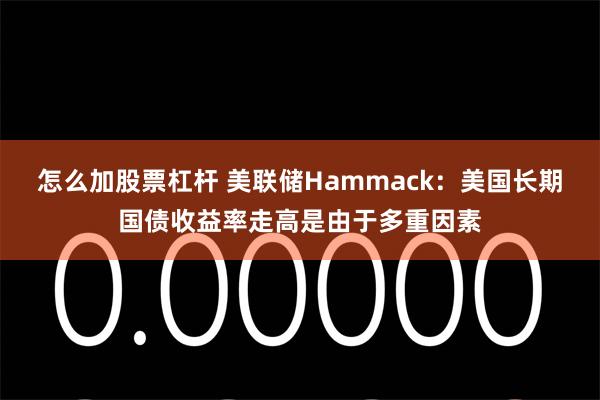 怎么加股票杠杆 美联储Hammack：美国长期国债收益率走高是由于多重因素