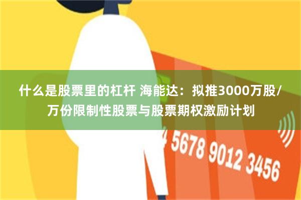 什么是股票里的杠杆 海能达：拟推3000万股/万份限制性股票与股票期权激励计划
