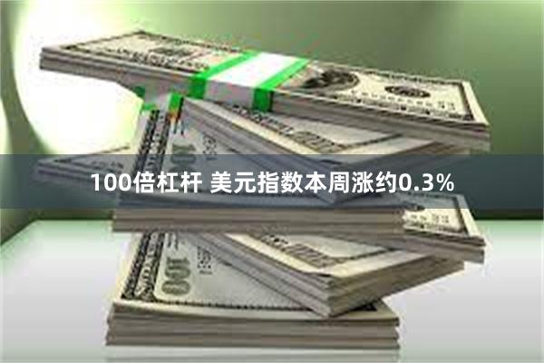 100倍杠杆 美元指数本周涨约0.3%