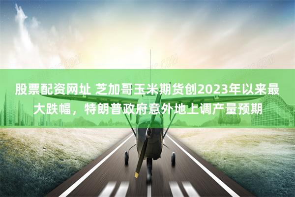 股票配资网址 芝加哥玉米期货创2023年以来最大跌幅，特朗普政府意外地上调产量预期
